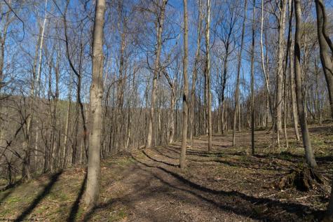 38 E Wind Trail Morgantown WV 26508