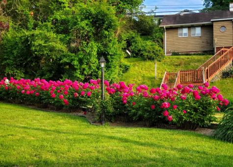 89 Station Street Shinnston WV 26431