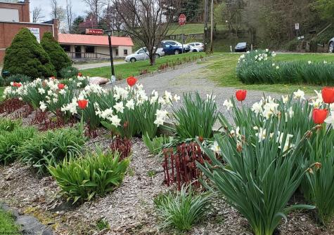 89 Station Street Shinnston WV 26431