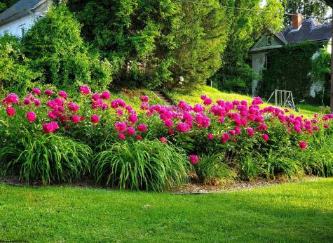 89 Station Street Shinnston WV 26431