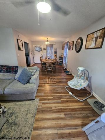307 Dunham Cut Road Belington WV 26250