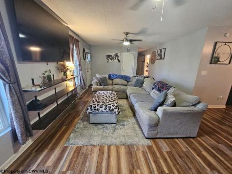 307 Dunham Cut Road Belington WV 26250