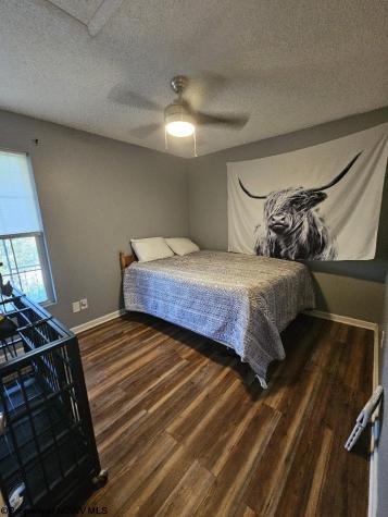 307 Dunham Cut Road Belington WV 26250