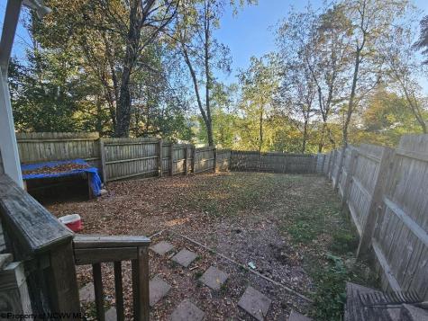 307 Dunham Cut Road Belington WV 26250