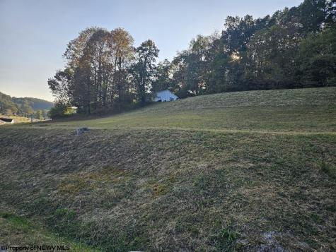 307 Dunham Cut Road Belington WV 26250