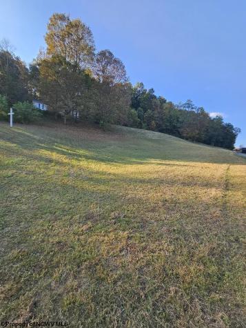 307 Dunham Cut Road Belington WV 26250