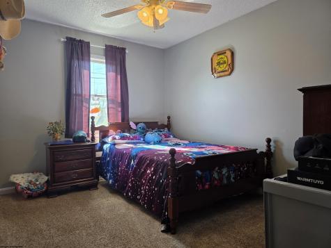 17 Hampton Drive Lost Creek WV 26385