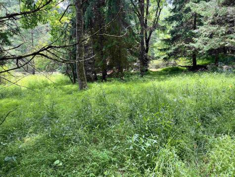 1735 Heavner Grove Road Buckhannon WV 26201