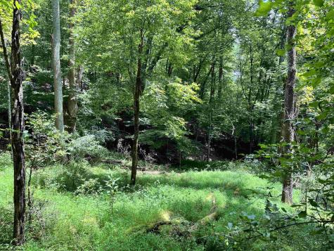1735 Heavner Grove Road Buckhannon WV 26201
