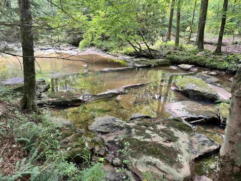 1735 Heavner Grove Road Buckhannon WV 26201