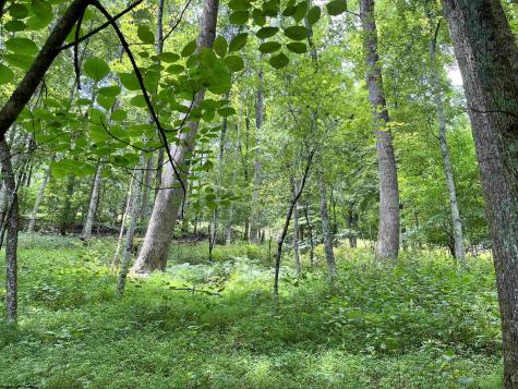 1735 Heavner Grove Road Buckhannon WV 26201
