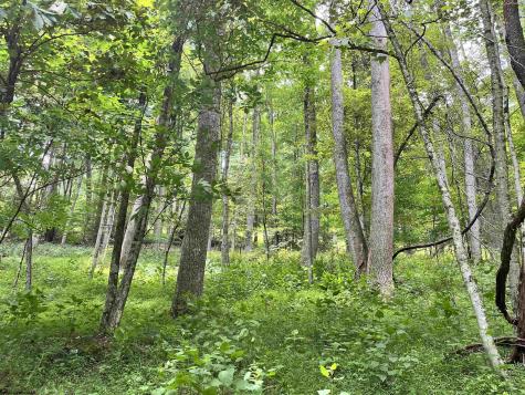 1735 Heavner Grove Road Buckhannon WV 26201