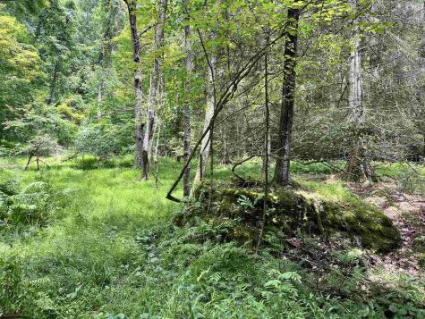 1735 Heavner Grove Road Buckhannon WV 26201
