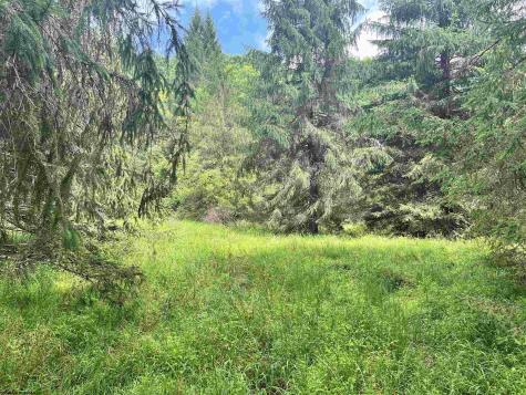1735 Heavner Grove Road Buckhannon WV 26201