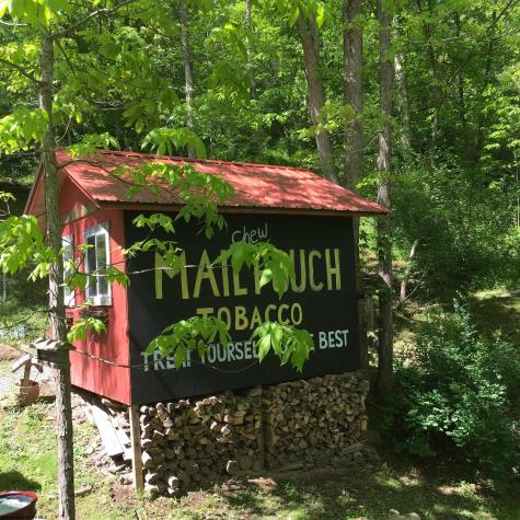 1161 Clover Fork Road Orlando WV 26412