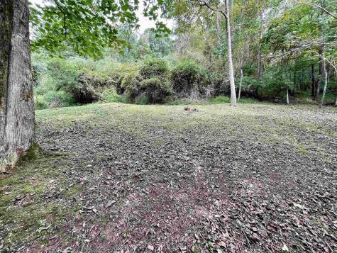 1161 Clover Fork Road Orlando WV 26412