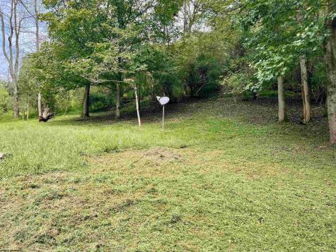 1161 Clover Fork Road Orlando WV 26412