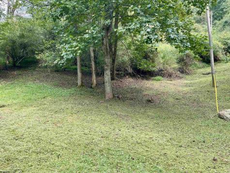 1161 Clover Fork Road Orlando WV 26412