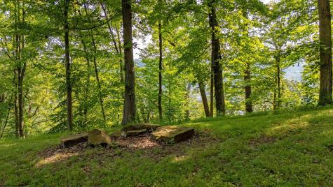 29 Chardonnay Drive Morgantown WV 26508