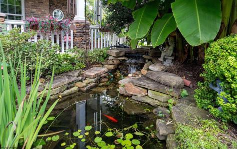 555 Burroughs Street Morgantown WV 26505