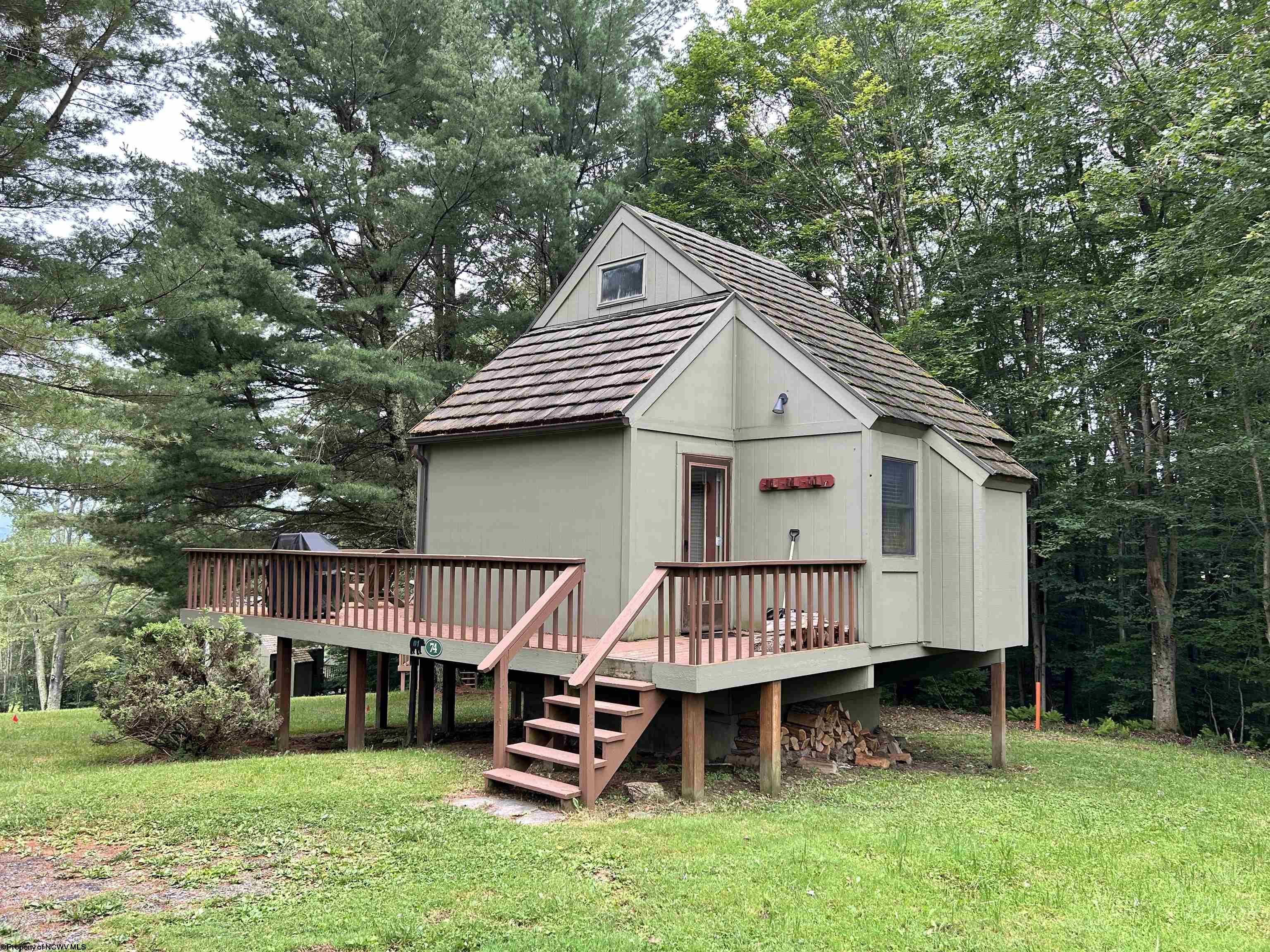 74 Lodge Drive Davis WV 26260