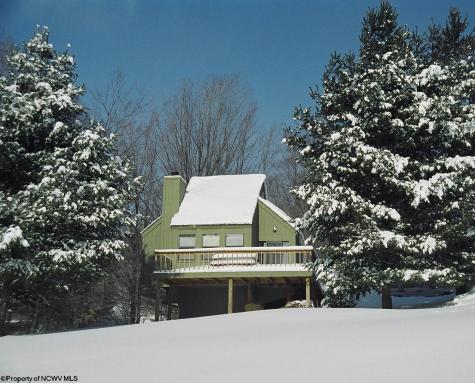 74 Lodge Drive Davis WV 26260