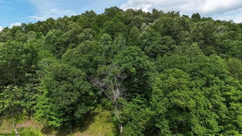 407 Soap Hollow Road Mannington WV 26582
