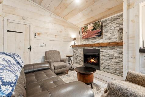 76 Arbutus Court Terra Alta WV 26764