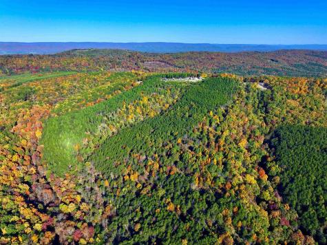 570 Bluffs Potomac Ridge Road Springfield WV 26763