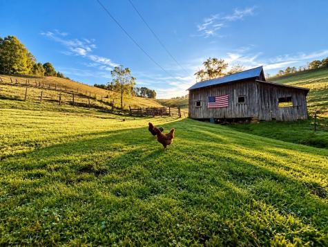 623 Hackers Creek Road Buckhannon WV 26201