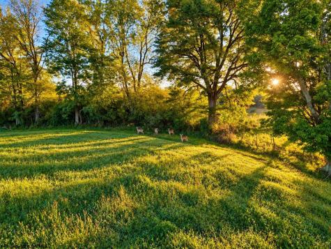 623 Hackers Creek Road Buckhannon WV 26201