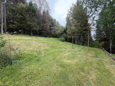486 Spruce Street Thomas WV 26292