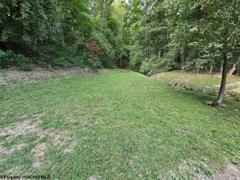 3011 Crooked Run Road Alum Bridge WV 26321