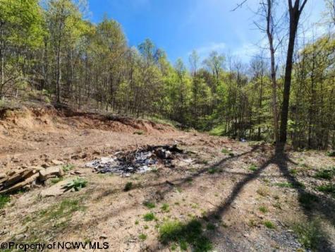 4679 Georgetown Road Horner WV 26372