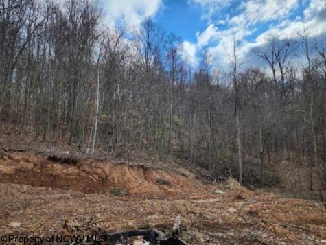 4679 Georgetown Road Horner WV 26372