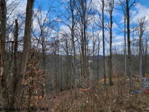 4679 Georgetown Road Horner WV 26372