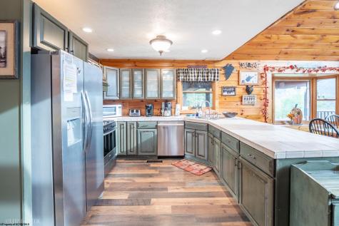 91 Panoramic Drive Dryfork WV 26263