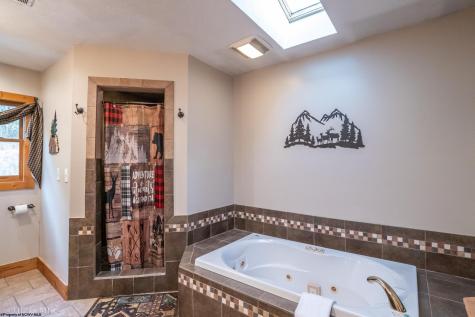 91 Panoramic Drive Dryfork WV 26263