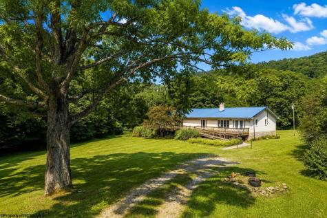 1258 Long Run Ellamore WV 26267