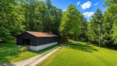 1258 Long Run Ellamore WV 26267