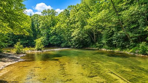 1258 Long Run Ellamore WV 26267