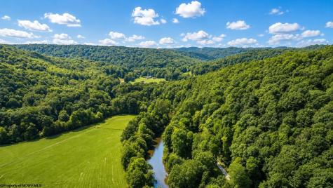 1258 Long Run Ellamore WV 26267