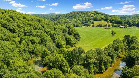 1258 Long Run Ellamore WV 26267