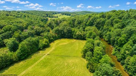 1258 Long Run Ellamore WV 26267