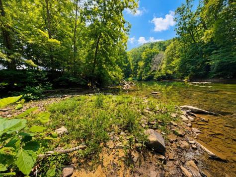 1258 Long Run Ellamore WV 26267