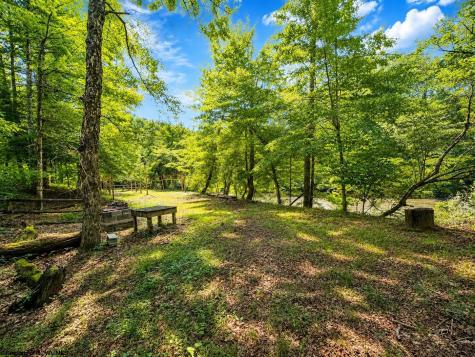 1258 Long Run Ellamore WV 26267
