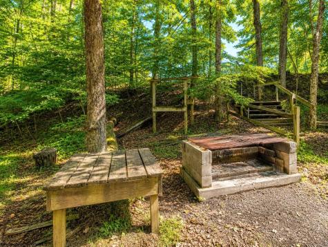 1258 Long Run Ellamore WV 26267