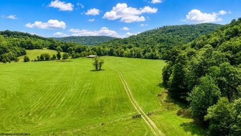 1258 Long Run Ellamore WV 26267