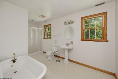 1258 Long Run Ellamore WV 26267