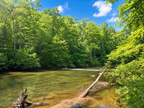 1258 Long Run Ellamore WV 26267
